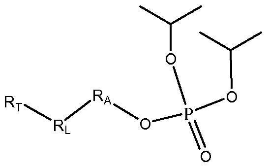 Figure imgf000033_0002