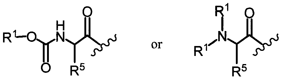 Figure imgf000027_0003