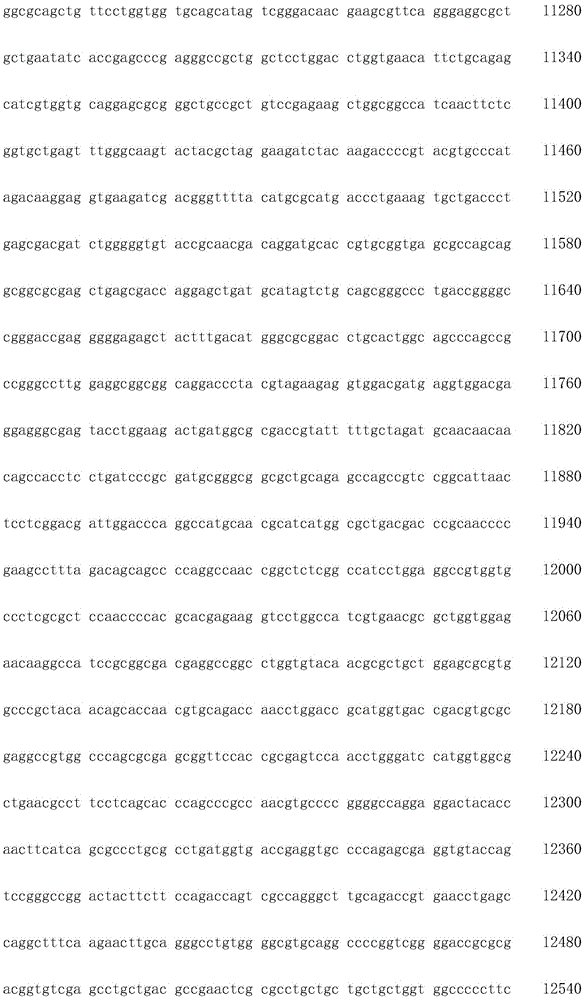 Figure IDA0002872168960000381