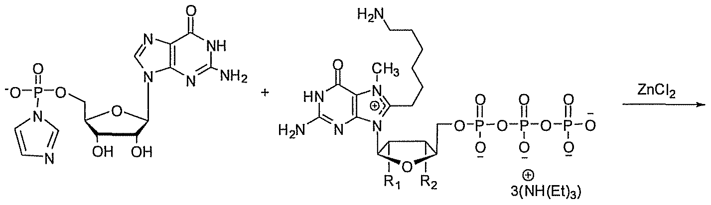 Figure imgf000044_0001