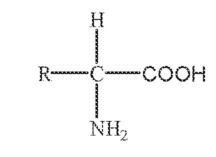 Figure imgf000019_0001