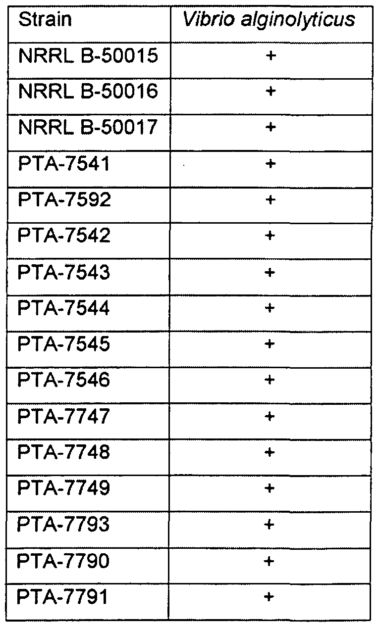 Figure imgf000030_0002