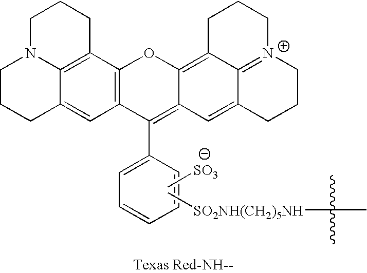 Figure US20080181852A1-20080731-C00013