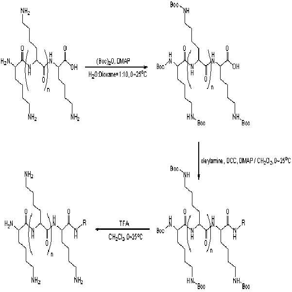 Figure 112008077724560-pat00003