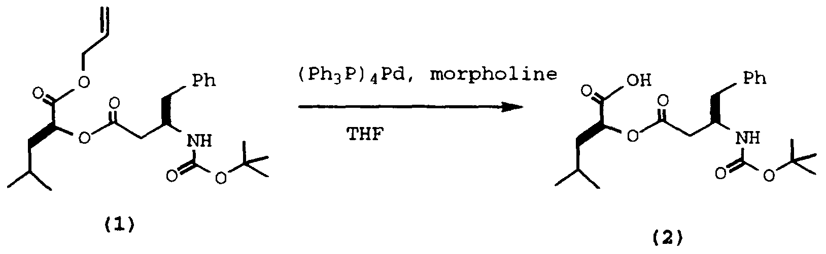 Figure imgf000029_0001