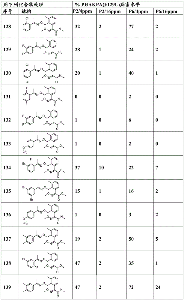 Figure BDA0003914530940001071