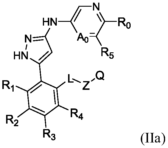 Figure PCTCN2020113233-appb-000003