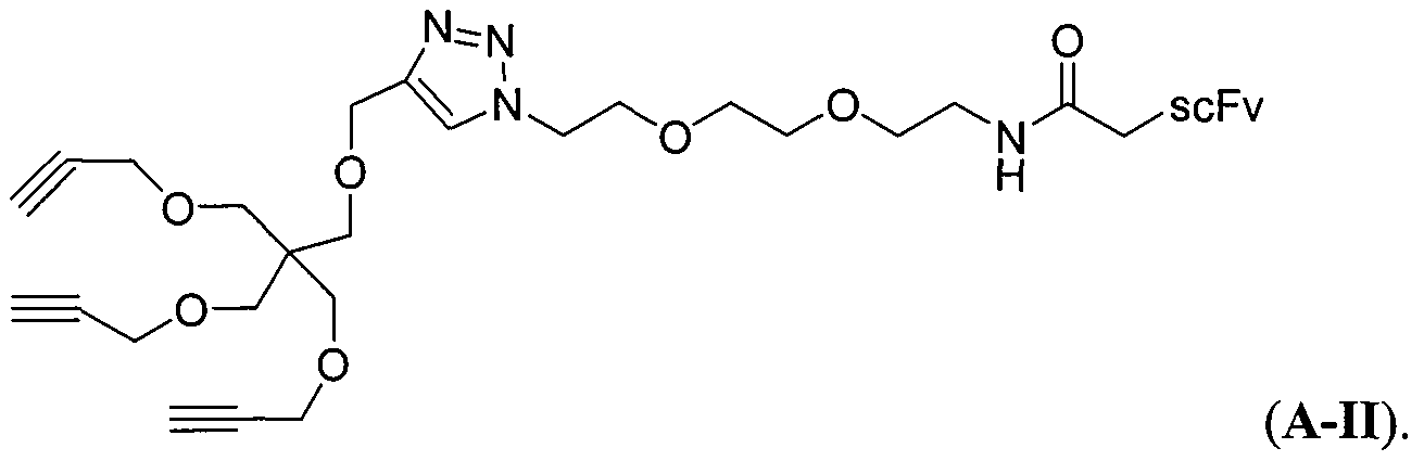 Figure imgf000012_0001