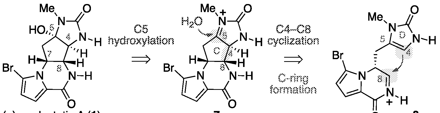 Figure imgf000055_0001