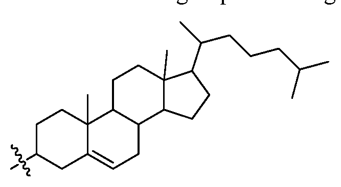 Figure imgf000005_0002
