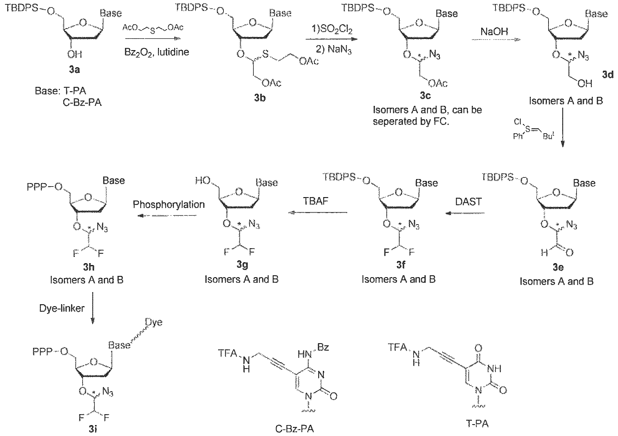 Figure imgf000030_0001