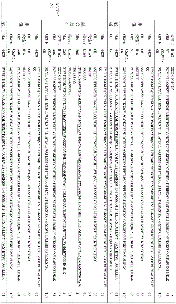 Figure BDA0002336612250000961