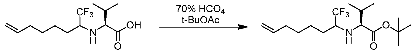 Figure imgf000031_0002
