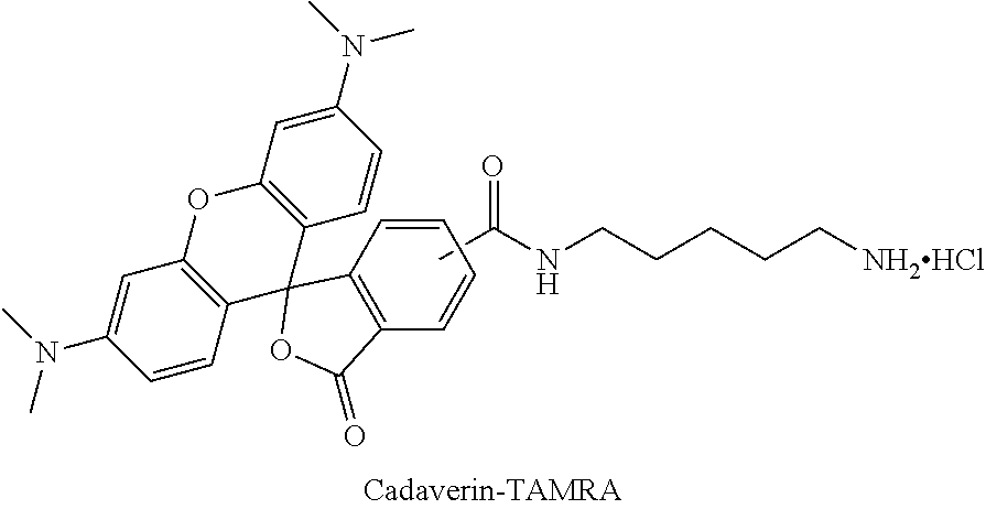 Figure US20130189287A1-20130725-C00026