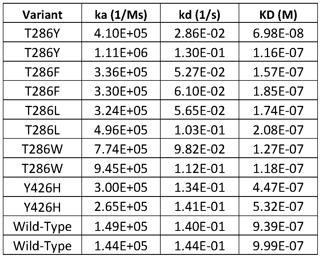Figure imgf000082_0001