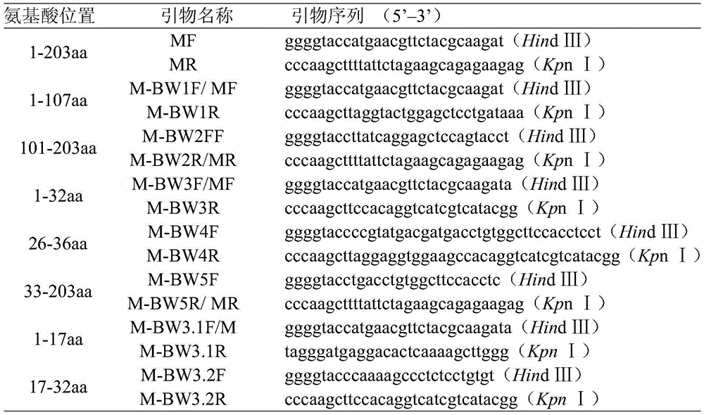 Figure GDA0002526607270000071