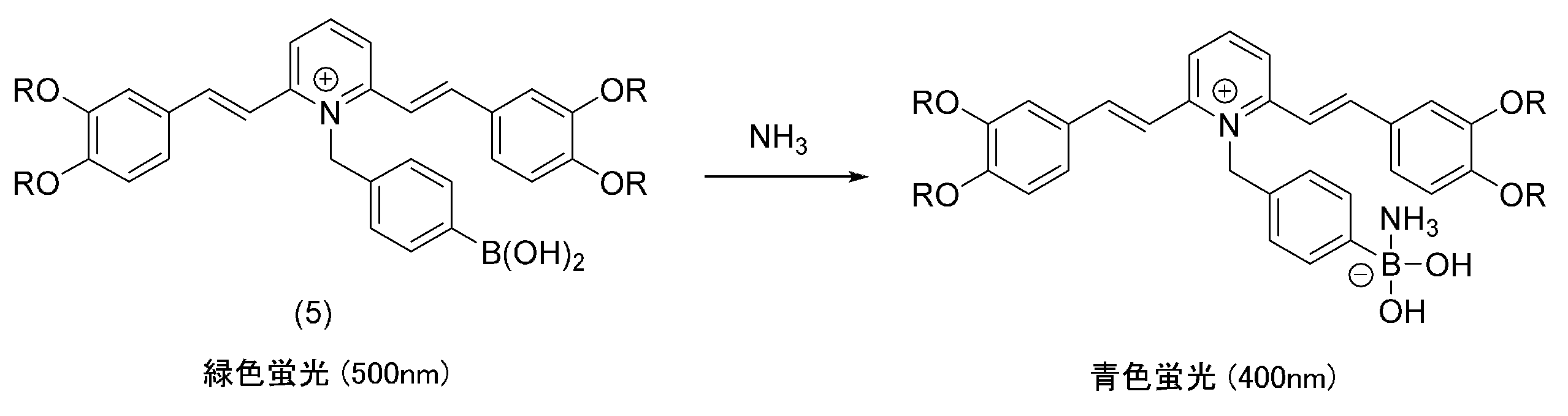 Figure 0007455366000008