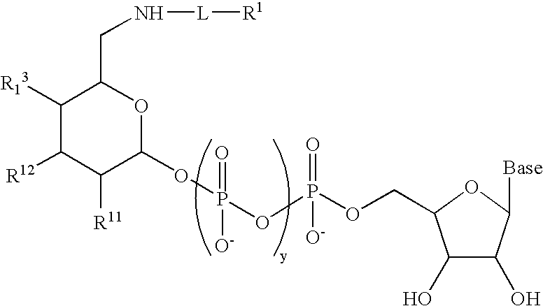 Figure US20070154992A1-20070705-C00019