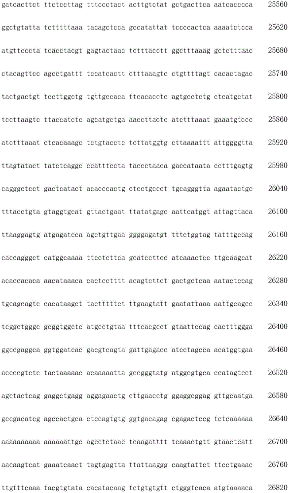 Figure IDA0003936212790000391