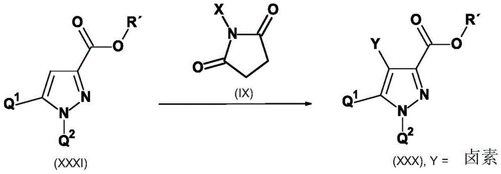 Figure BDA0003773017430000431