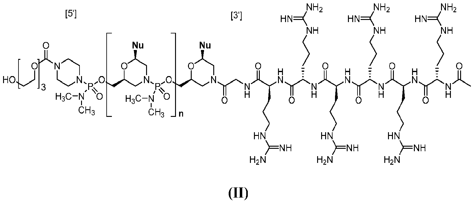 Figure imgf000018_0001