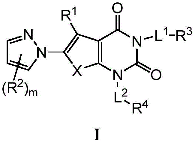 Figure BDA0001665086270000031