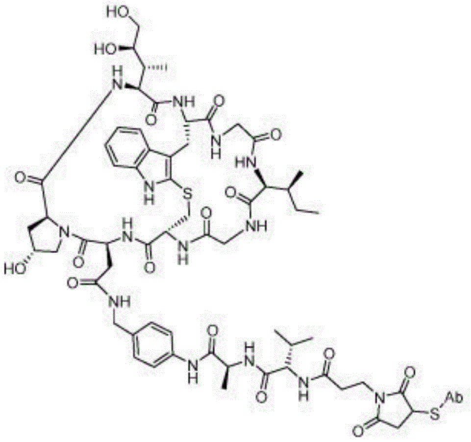 Figure BDA0003107814740001092
