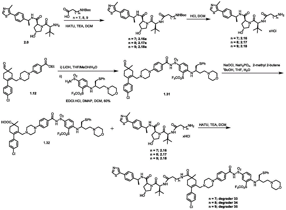 Figure BDA0003293294510001331