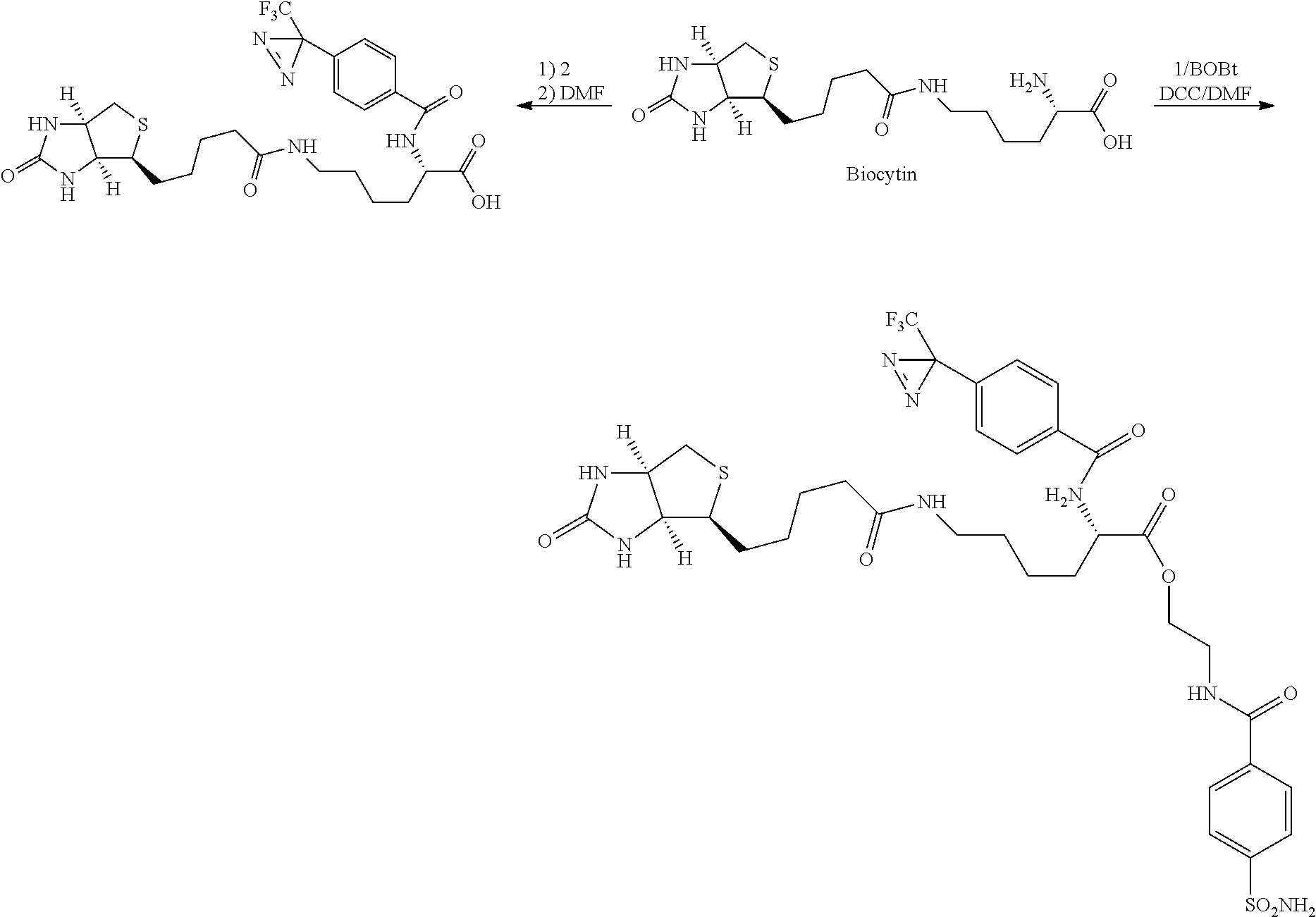 Figure US09034798-20150519-C00044