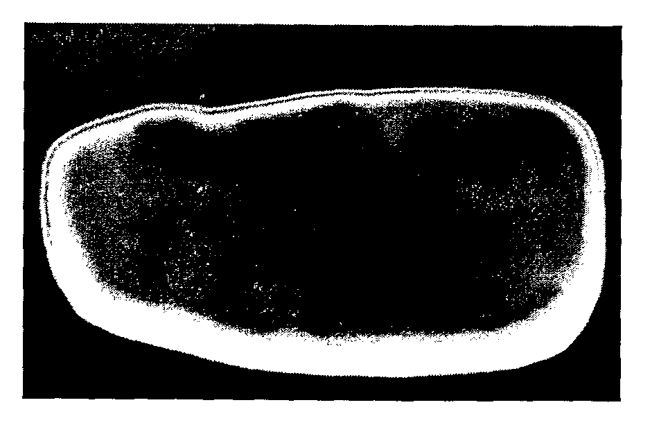 Figure 112008015626710-pct00002