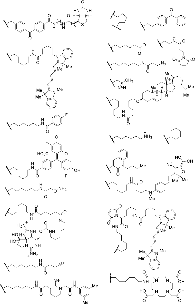 Figure BDA0000129181990000451