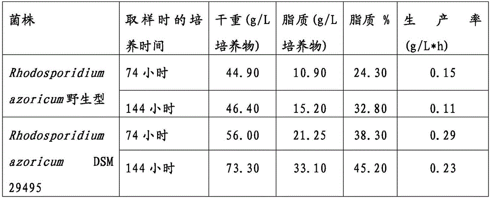 Figure BDA0001338279350000241