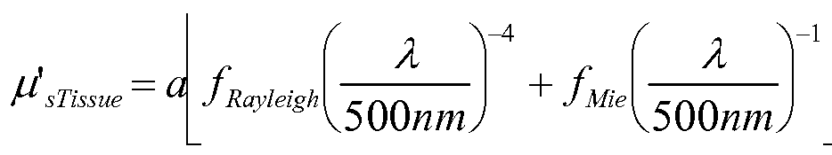 Figure imgf000011_0001