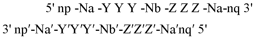 Figure imgf000030_0001