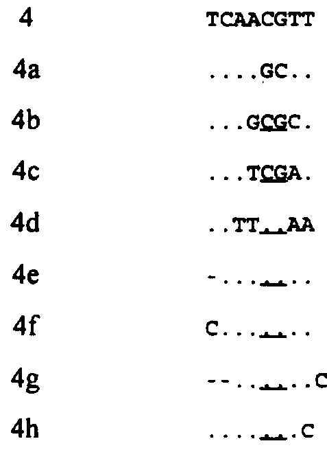 Figure imgf000017_0001