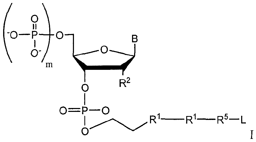 Figure imgf000006_0001