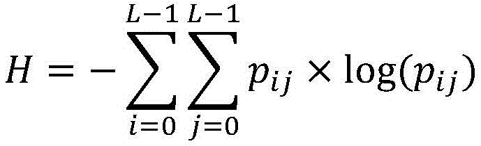 Figure GDA0002947163040000093