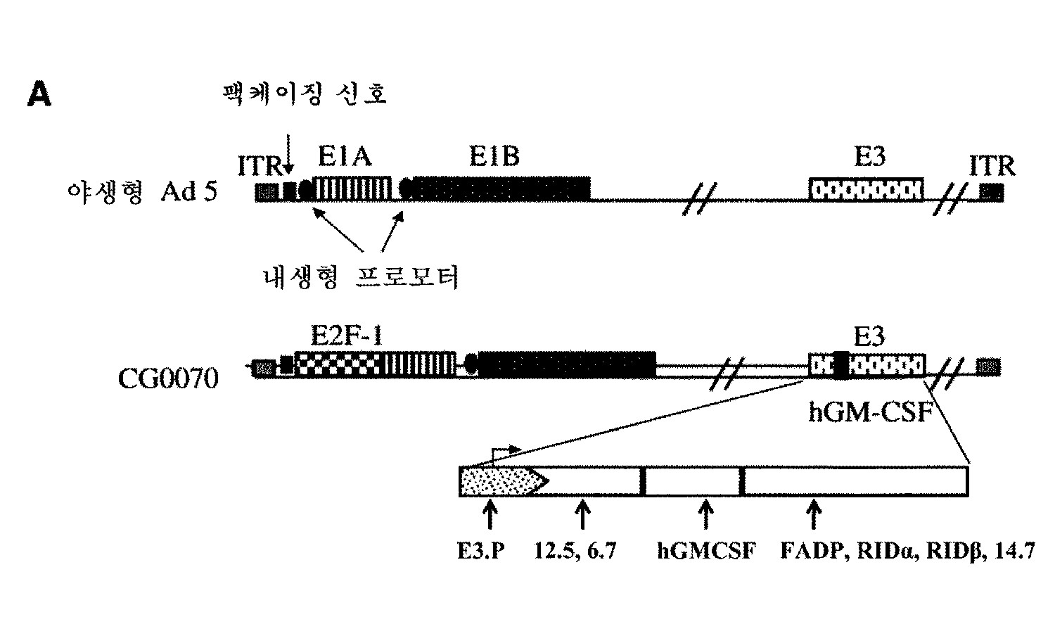 Figure P1020177009028