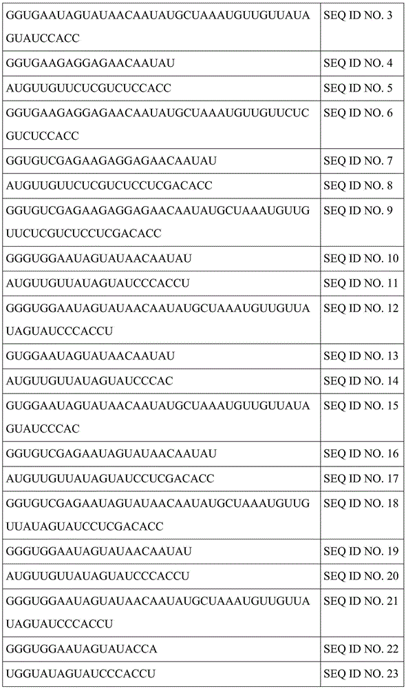 Figure BDA0003264319780000621