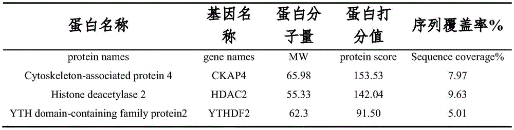 Figure BDA0003515037310000131