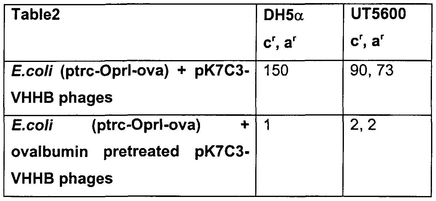 Figure imgf000020_0001