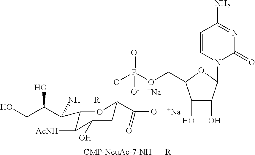 Figure US20130344050A1-20131226-C00063
