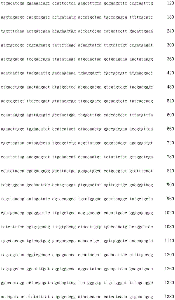 Figure IDA0002872168960000701