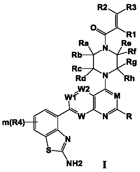 Figure PCTCN2020127861-appb-100001