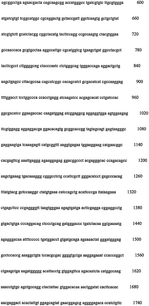 Figure IPA0000261779010000181