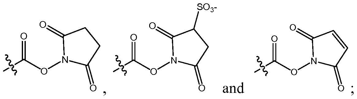 Figure imgf000015_0001