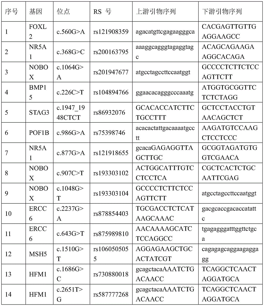 Figure BDA0002462439120000252