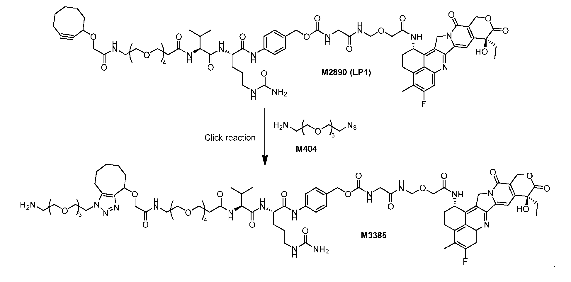 Figure imgf000272_0001