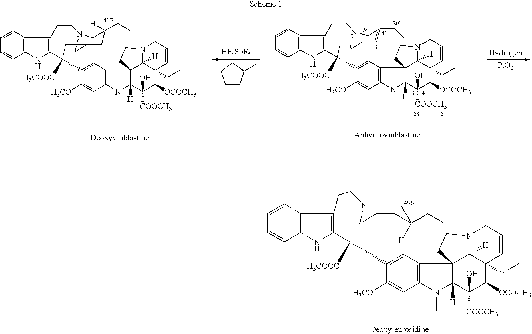 Figure US20080063639A1-20080313-C00001
