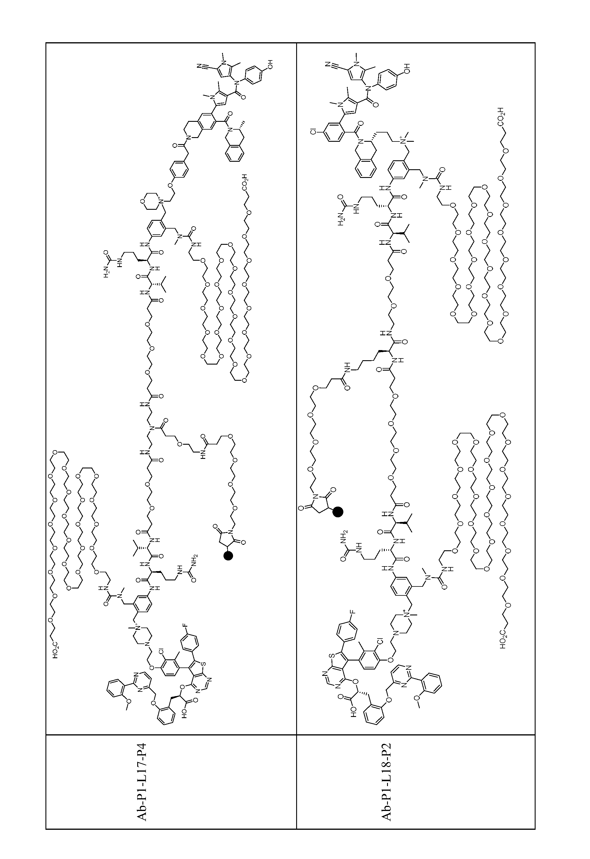 Figure imgf000171_0001